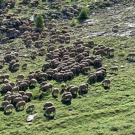 Le Flocon D'aurouze 522, 4 Personnes, *